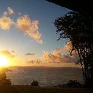 Meet your Posher, Torrie